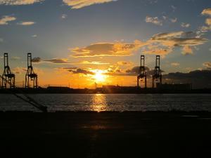 IMG_1933.jpg