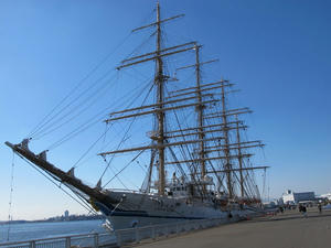 IMG_1983.jpg