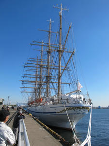 IMG_1981.jpg