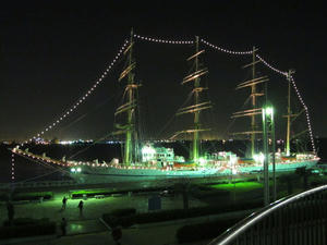 IMG_2033.jpg