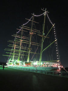 IMG_2036.jpg