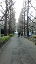 keio.jpg