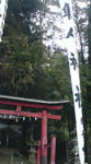 20090405090353.jpg