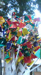 20090405090133.jpg