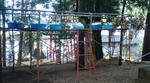 20090405090119.jpg