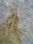 20090525183051.jpg