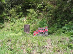 IMG_2215A.jpg