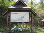 IMG_2227A.jpg