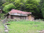 IMG_2344A.jpg