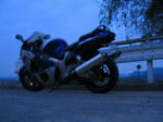 IMG_2767A.jpg