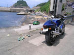 IMG_2854A.jpg