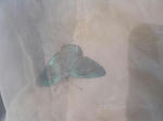 IMG_2928A.jpg