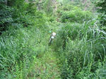 IMG_3337A.JPG