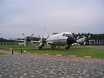 IMG_3265A.jpg