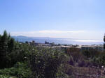 IMG_4545B.jpg