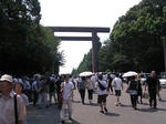 IMG_7824A.JPG