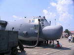 IMG_7986A.JPG