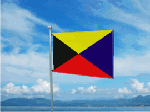 flying_zflag.gif