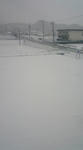 20110130104946.jpg