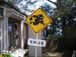 IMG_2122A.JPG