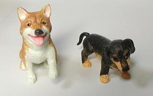 わたし犬ですか？