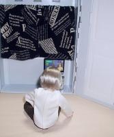 自作カーテン＋銀髪シオン