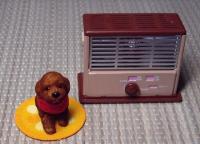 あんず（犬）