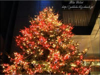 2009銀座ミキモトXmas tree 6