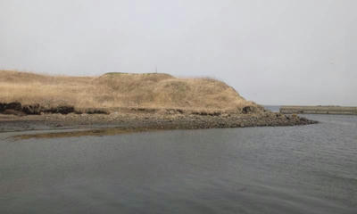 DSC_0237.JPG