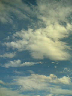 秋の空
