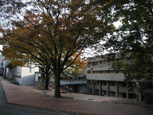大学