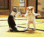 7773f24b.gif