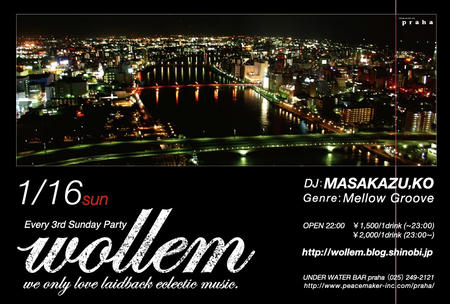 100116wollem.jpg