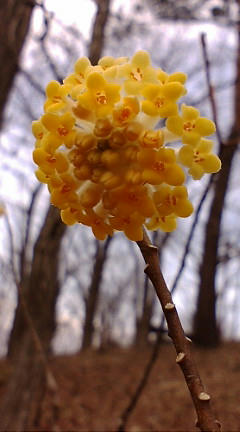 20100407125222.jpg