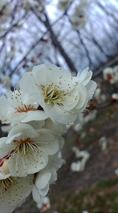 20100407132304.jpg