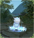 ペット紹介＠Ｓ級魔道師