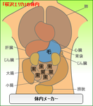 桜沢エリカ体内メーカー