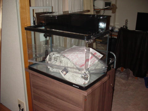 DSC01482.JPG