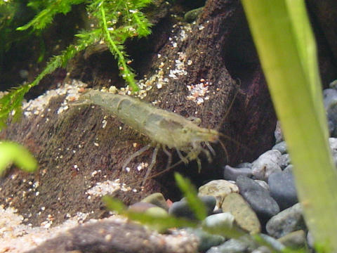 DSC01522.JPG