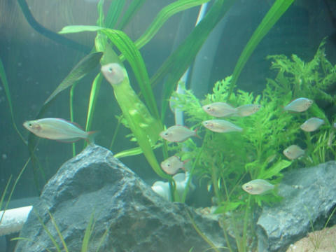 DSC01529.JPG
