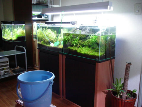 DSC01831.JPG