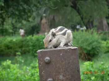 DSCN1016.JPG