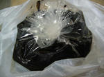 2011012901.jpg
