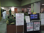 2011102303.jpg