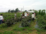IMG_20120826_105441_S.jpg