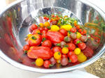 IMG_20120826_114004_S.jpg