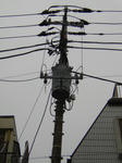P9150053.JPG