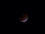 92d01194.JPG