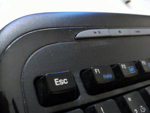 s-DSCF7206.jpg