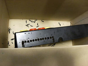 s-DSCF7298.jpg